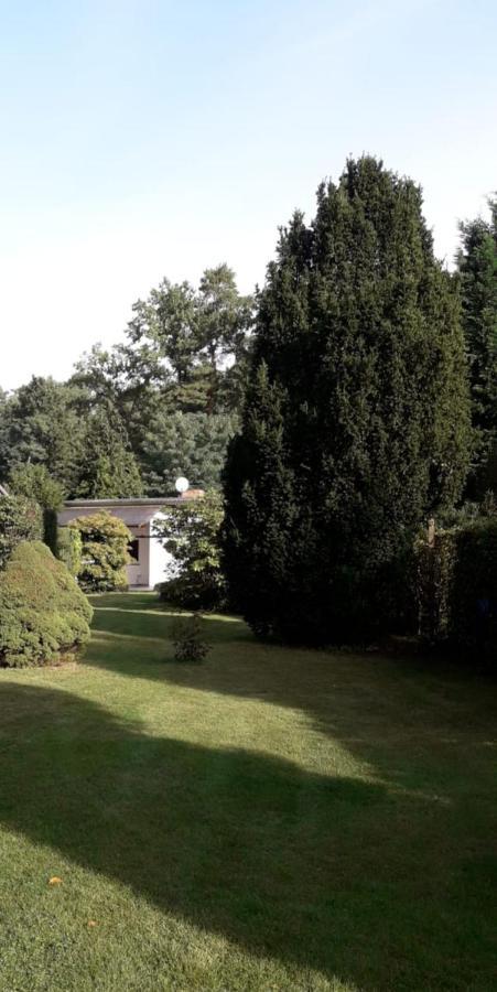 Ferienhaus Am Langen See III Heidesee ภายนอก รูปภาพ